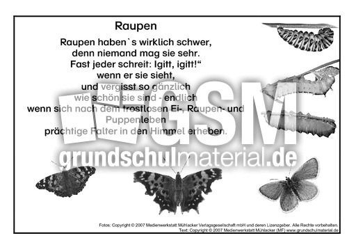 Raupen-Igitt-SW.pdf